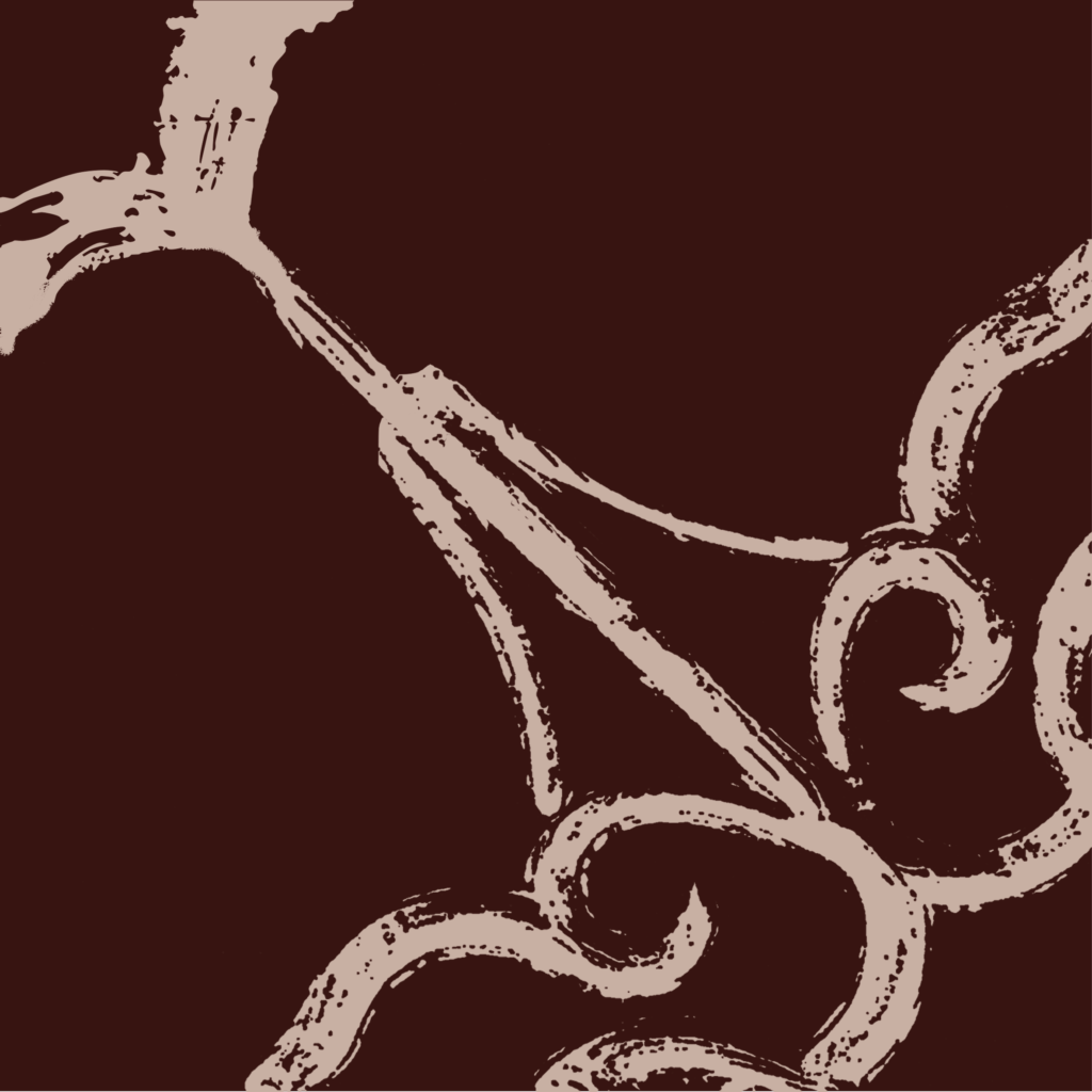 MERAKI 03